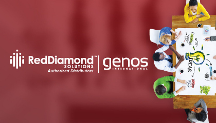 Red Diamond Solutions